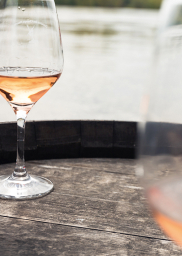 Rosé de Loire, un vin se distinguant pour son caractère sec, sans sucrosité